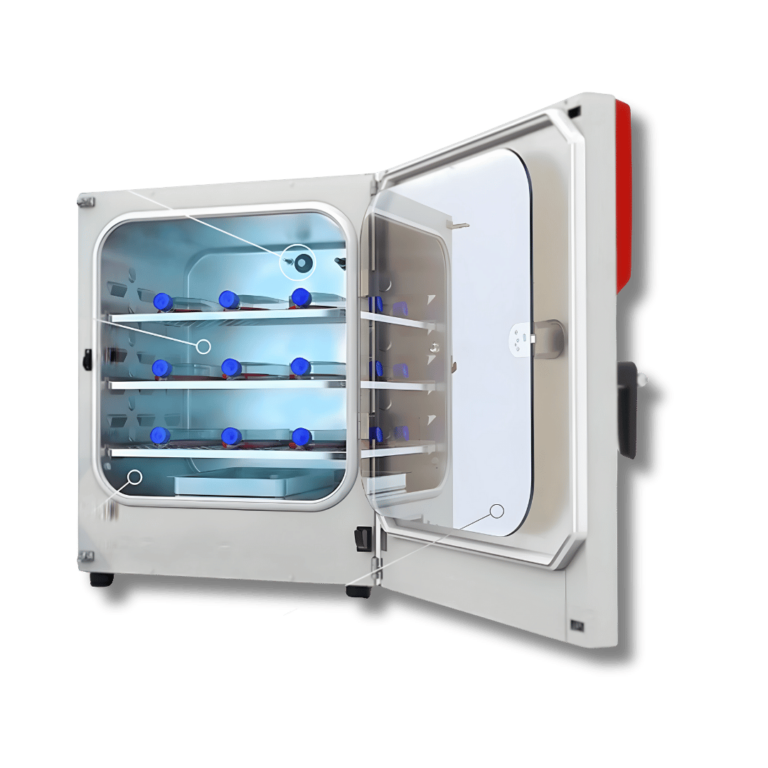 Binder CO2 Incubators